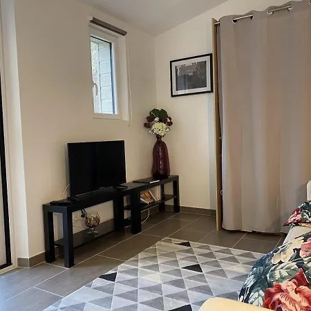 Apartament Lumineux Avec Jardin Prive Et Terrasse En Plein Centre De - Fr-1-541-96 *