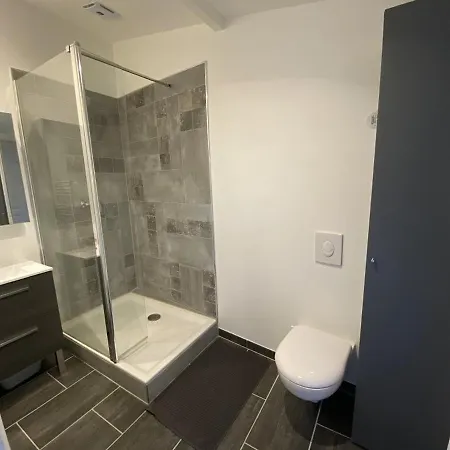 Apartament Lumineux Avec Jardin Prive Et Terrasse En Plein Centre De - Fr-1-541-96