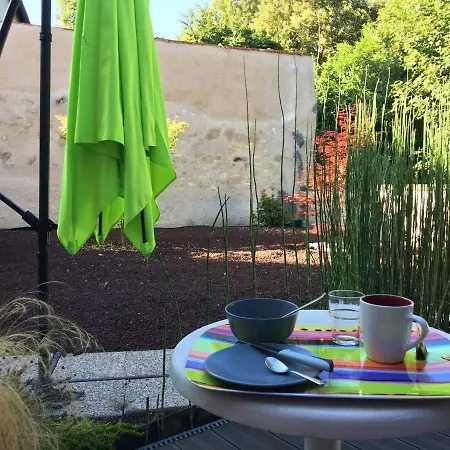 Lumineux Avec Jardin Prive Et Terrasse En Plein Centre De - Fr-1-541-96 * La Roche-Posay
