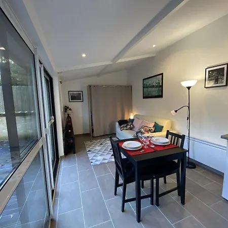 Apartament Lumineux Avec Jardin Prive Et Terrasse En Plein Centre De - Fr-1-541-96 *