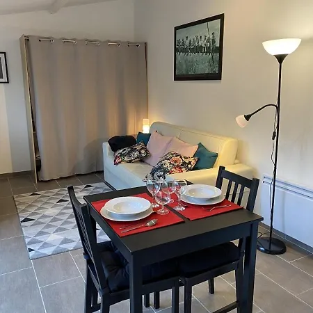 Apartament Lumineux Avec Jardin Prive Et Terrasse En Plein Centre De - Fr-1-541-96 *
