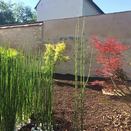 アパート Lumineux Avec Jardin Prive Et Terrasse En Plein Centre De - Fr-1-541-96